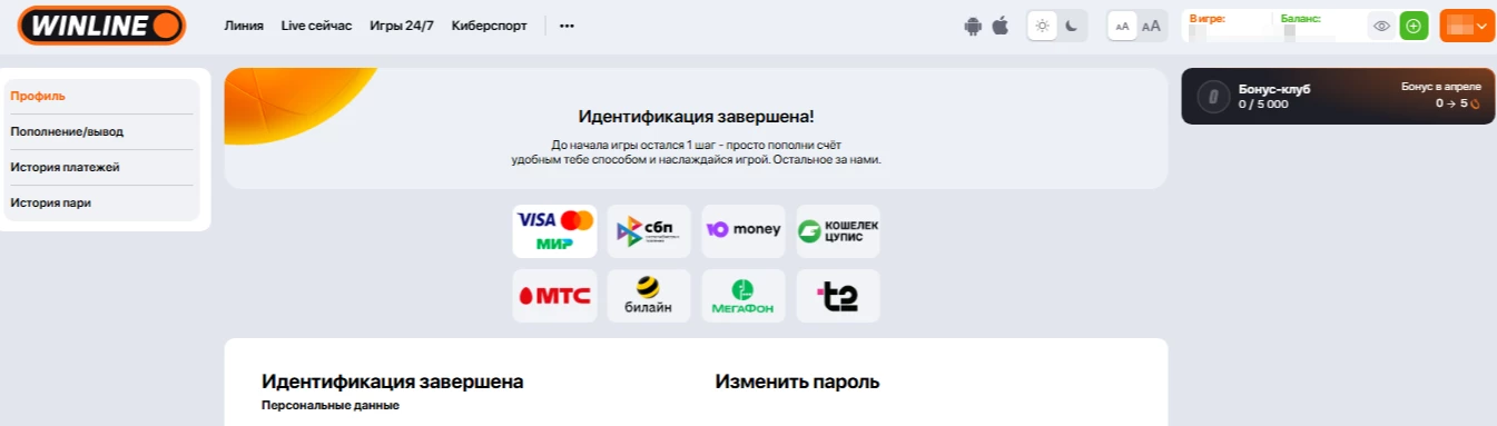 Пройденная идентификация в БК Винлайн