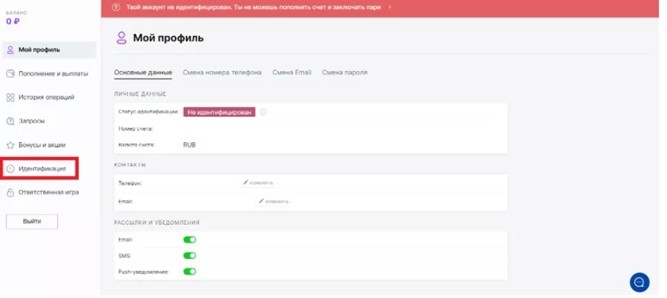 Идентификация БК Пари