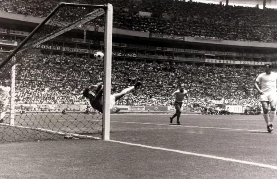 Спасение века