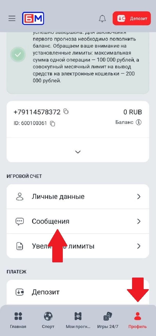 Вкладка Сообщения в профиле БК Бет-М