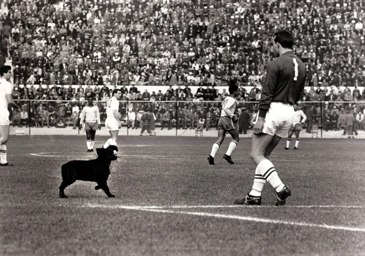 Англия - Бразилия