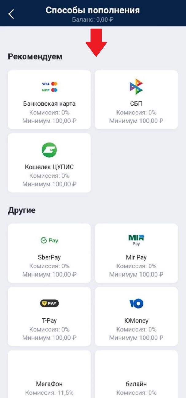 Способы пополнения в БК Марафон