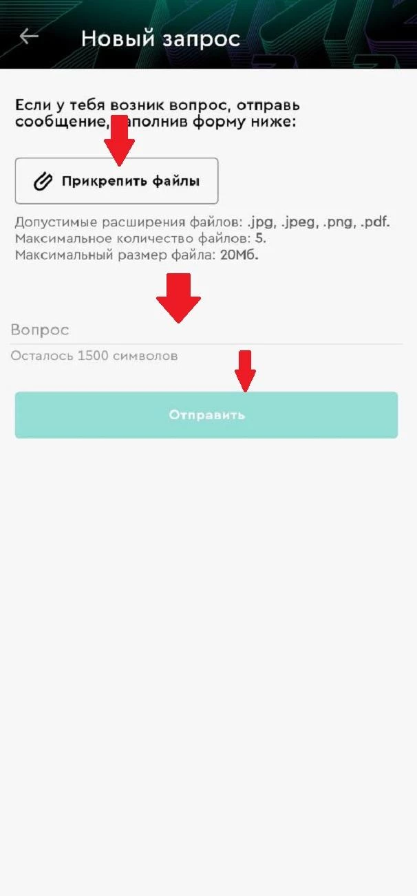 Форма нового запроса в БК Пари