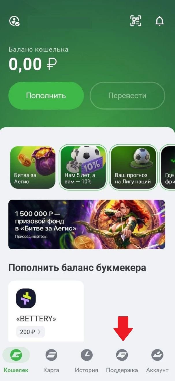 Раздел Поддержка в ЕЦУПИС