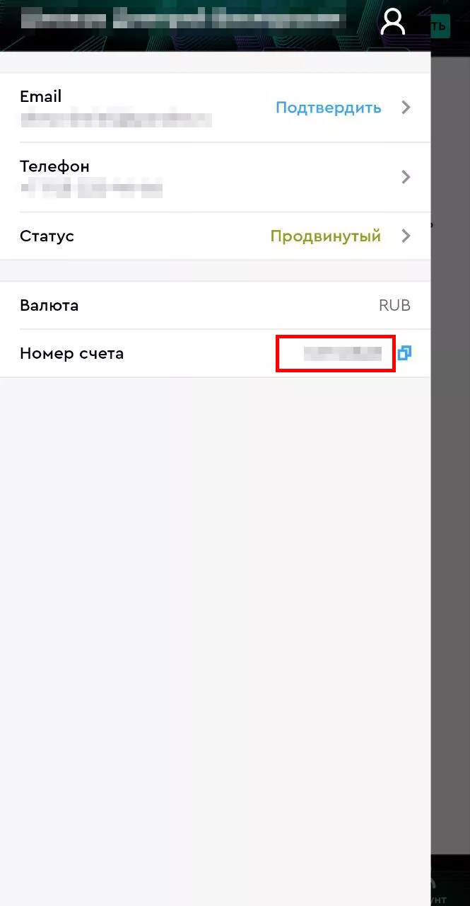 Номер счета в БК Пари