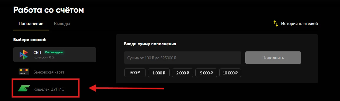 Пополнение счета БК Бетбум через ЦУПИС