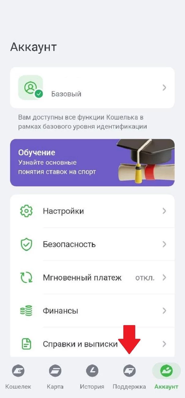 Раздел Поддержка в мобильном приложении ЦУПИС