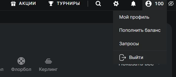 Меню личного кабинета в 24Бет