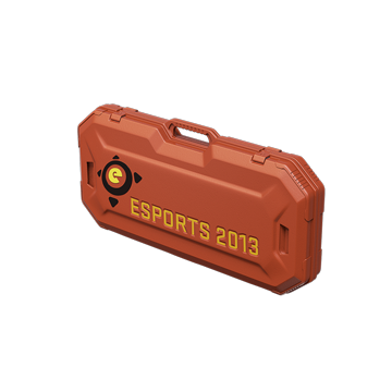 eSports 2013 Case