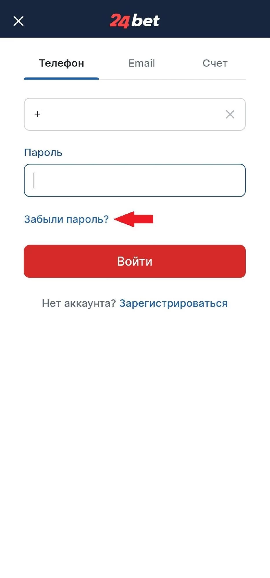 Кнопка Забыли пароль? в БК 24Бет