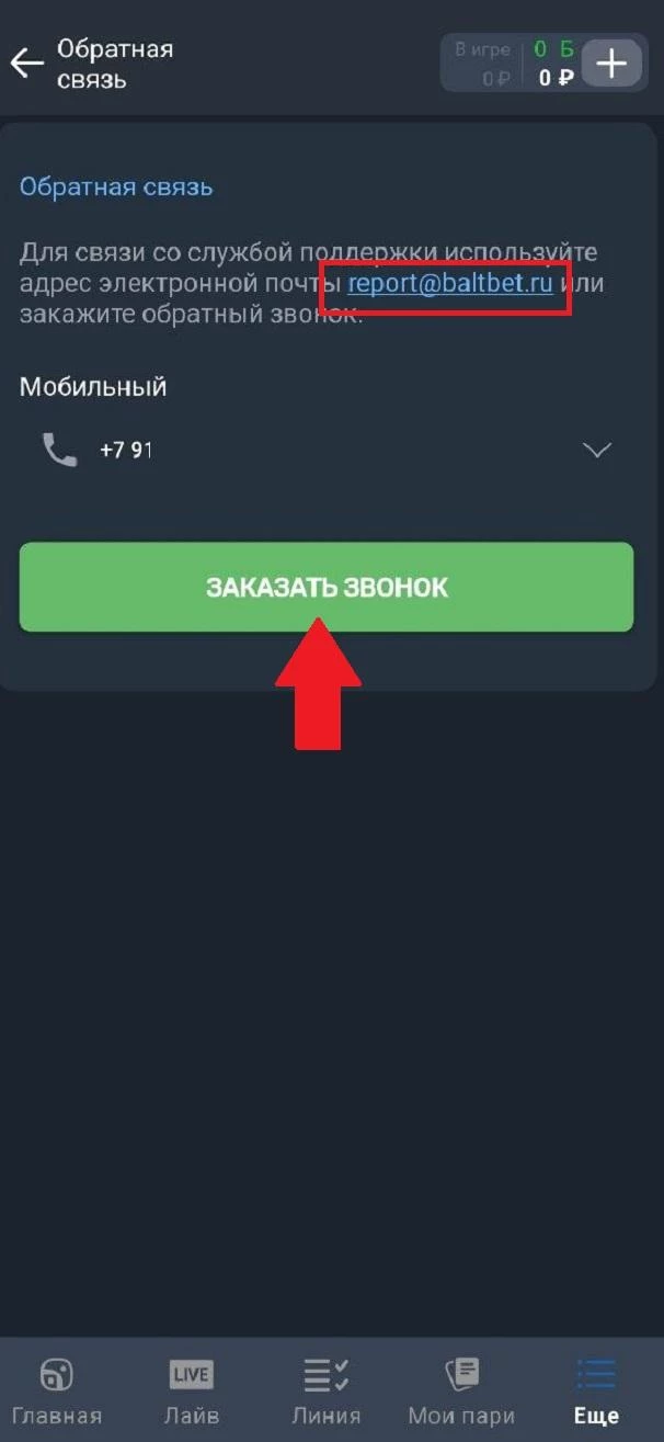 Каналы связи с поддержкой БК Балтбет