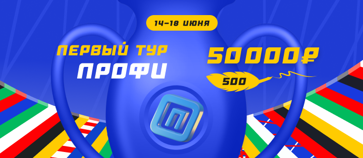 Первый тур. Профи