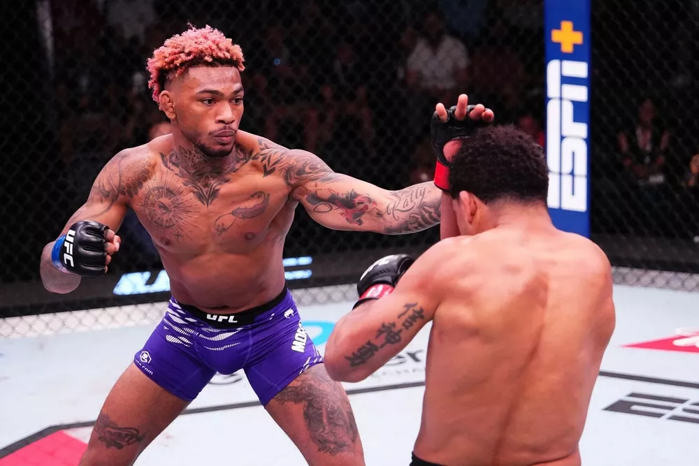 Борьба как вид спорта