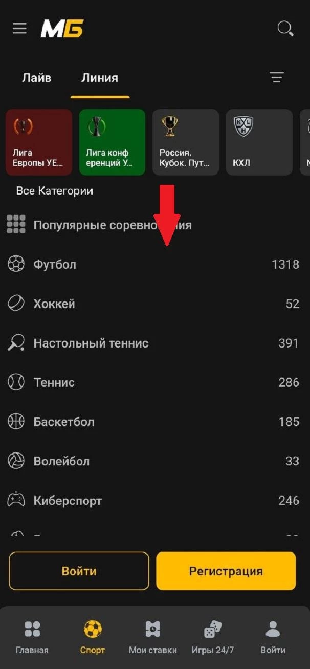 Выбор вида спорта в линии БК Мелбет