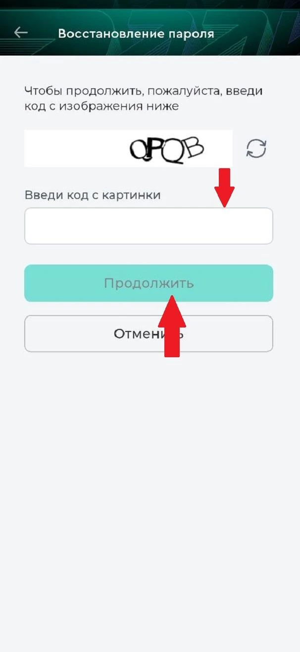 Поле для ввода кода в БК Пари