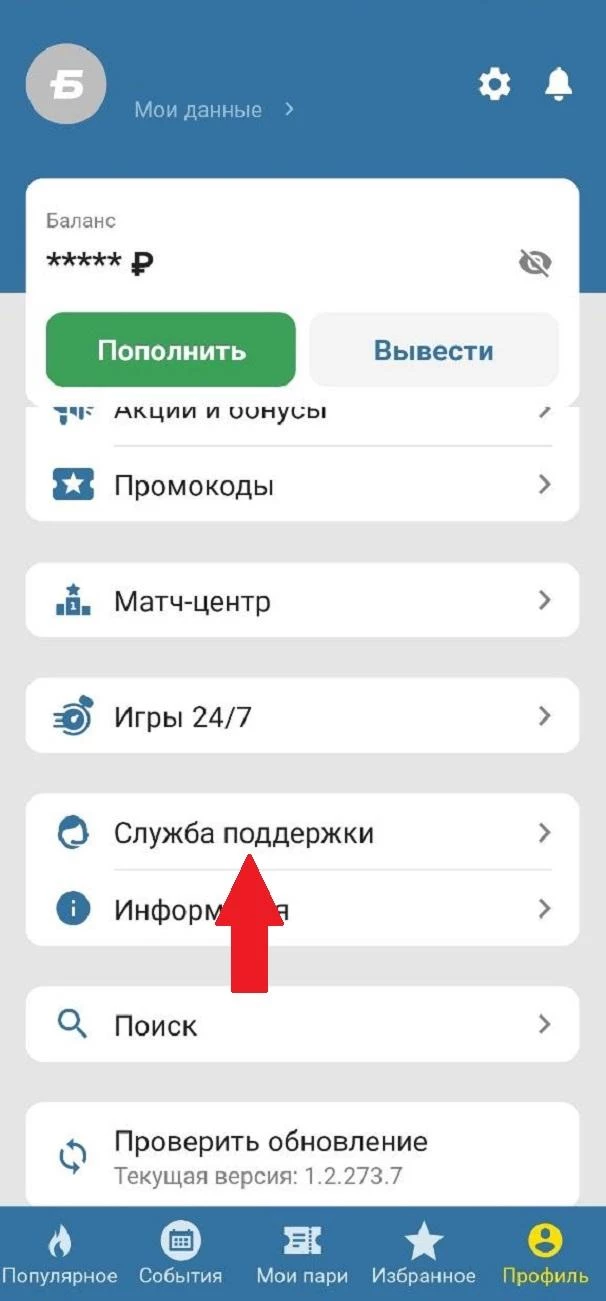 Раздел Служба поддержки в БК Бетсити