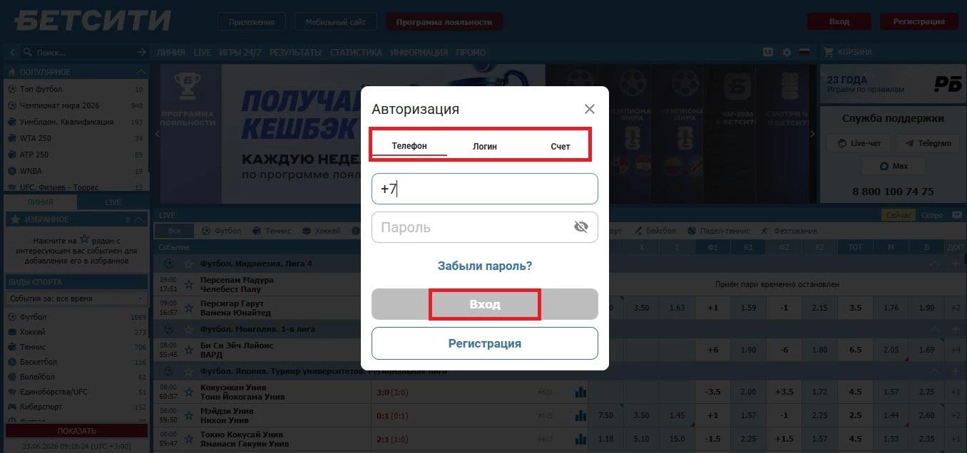 Выбор способа авторизации в БК Бетсити