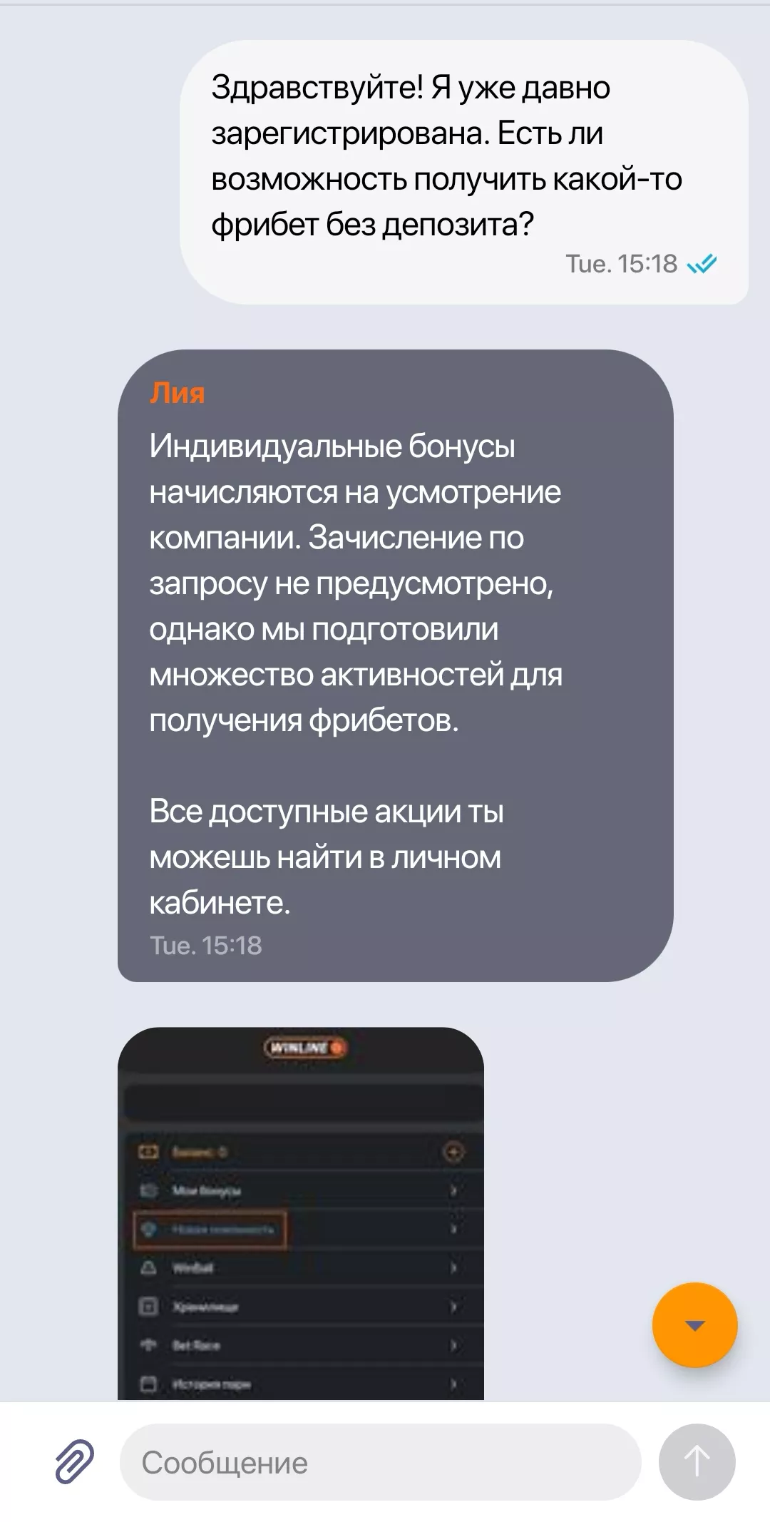 Обращение в саппорт Винлайна