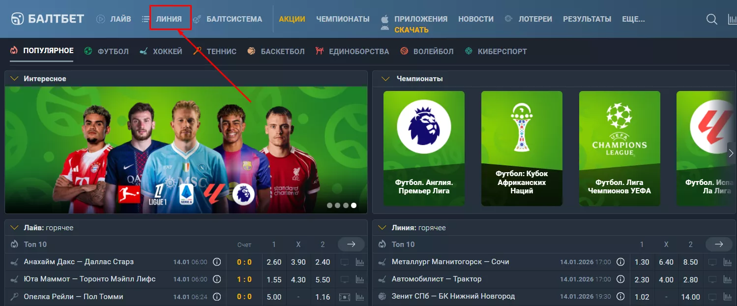Ссылка на линию на сайте БК Балтбет