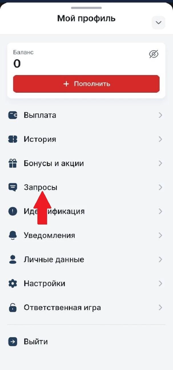 Раздел Запросы в БК 24Бет