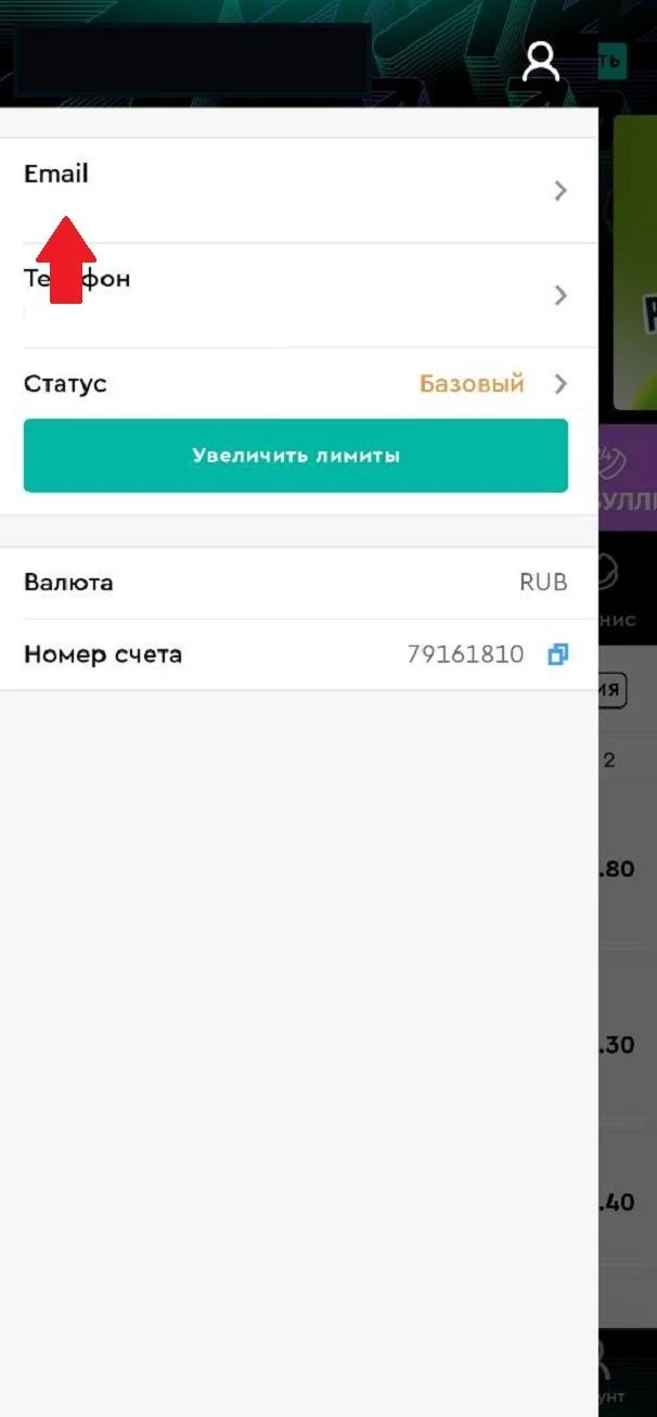 Вкладка Email в приложении БК Пари