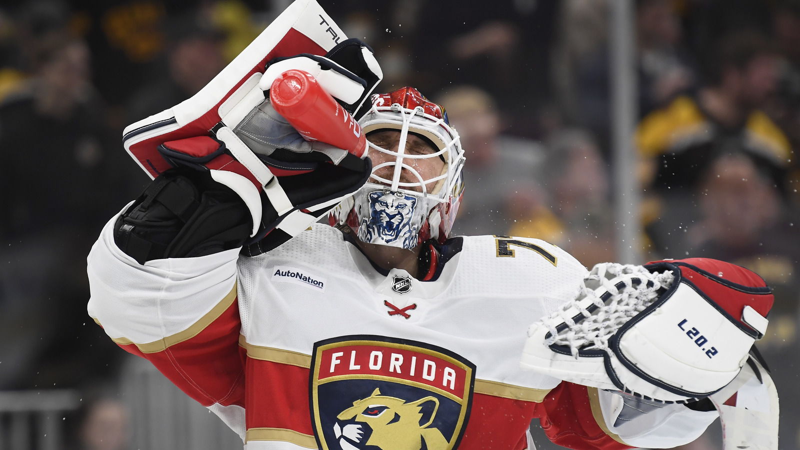 Сергей Бобровский