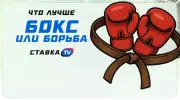 Бокс или борьба: что из этого лучше?