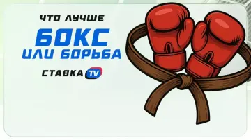 Бокс или борьба: что из этого лучше? Бокс или борьба: что из этого лучше?