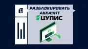 ЦУПИС заблокировал аккаунт: что делать и как разблокировать