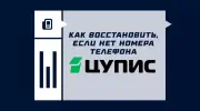 Как восстановить ЦУПИС, если нет доступа к номеру телефона