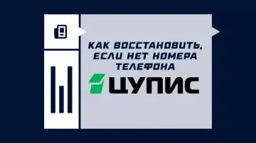 Как восстановить ЦУПИС без телефона