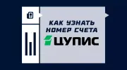 Как узнать номер счета и реквизиты в ЦУПИС