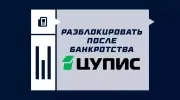 Как разблокировать ЦУПИС после банкротства