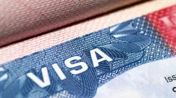 Болельщики четырех сборных могут пропустить ЧМ Болельщики четырех сборных могут пропустить ЧМ
