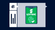 Как пройти идентификацию в ЦУПИС: все способы верификации