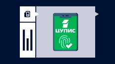 Как пройти идентификацию в ЦУПИС: все способы верификации