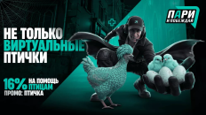 Курочки из Counter-Strike помогут спасать настоящих птиц: фонд «Пари и побеждай» запустил благотворительную акцию