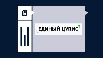 Что такое ЦУПИС Что такое ЦУПИС